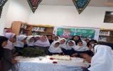 جشن کتاب و کتابخوانی در کتابخانه عمومی سید الشهداء(ع)
